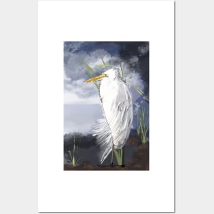 An Egret Huddles in the Storm Posters and Art